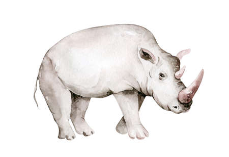 Watercolor African rhipo animal rhinoceros isolated on white background. Savannah wildlife cartoon zoo safari poster. Jungle decorationの写真素材