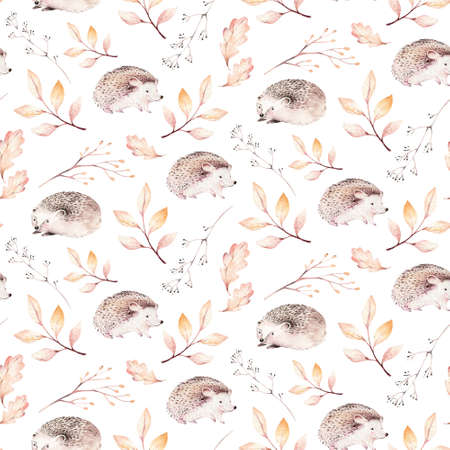 Watercolor autumn seamless pattern with hedgehog, mashrooms, branches, leaves and berries. Set of autumn forest plants. Collection of herbarium garden.の写真素材