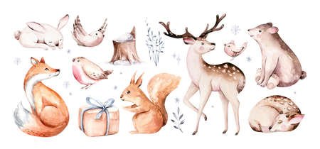 Watercolor winter forest animals deer with fawn, owl rabbits, bear birds on white background. Wild forest fox and squirrel animals set. Hand painted winter christmas cardの写真素材