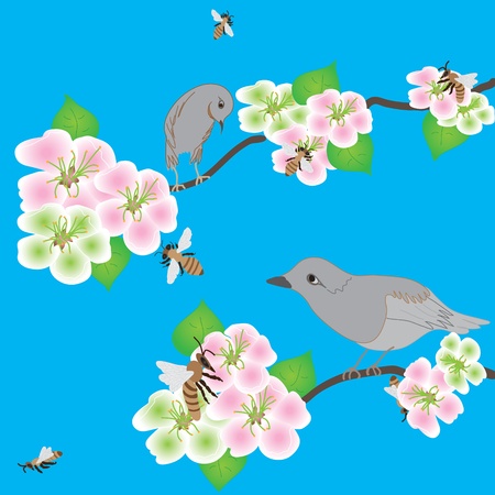 Birds, bees and  beautiful apple flowersのイラスト素材