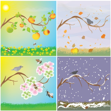 Four seasonal variation of apple tree branchのイラスト素材