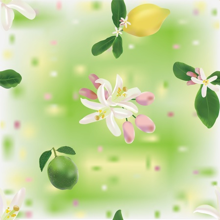 Lemon and lime fruits and flowers in seamless patternのイラスト素材
