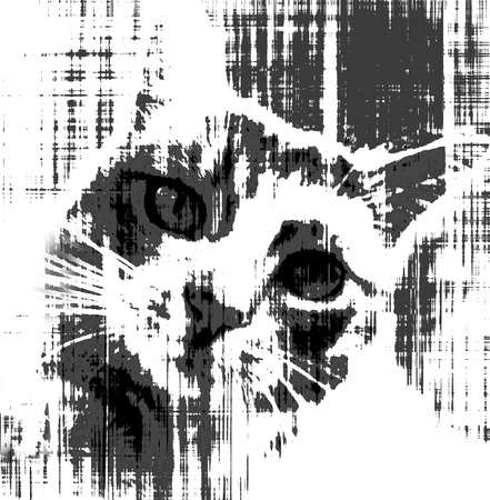    Stray cat call for help.Black and white sketch design.    の写真素材
