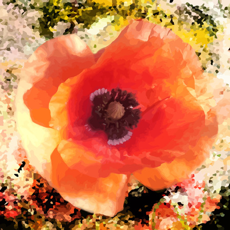 Red  bright poppy on grunge stained colorful backgroundのイラスト素材