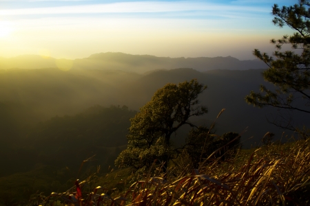 Landscapeの写真素材