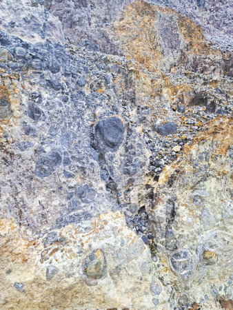 A vertical, close-up view of a rugged rock face showcasing a complex sedimentary formation. The...
