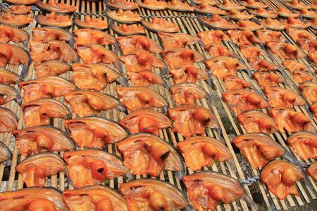 dried catfishの写真素材