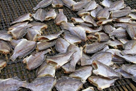 group and heap of dried fish の写真素材