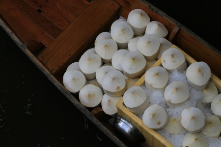 Set of Fresh Green Coconuts の写真素材