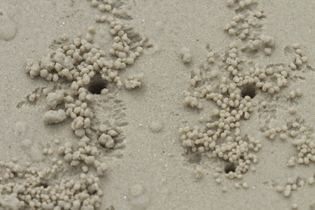 Crab Holes in Sand Background