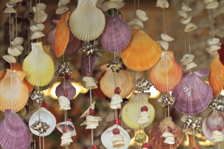 Curtain made of seashells