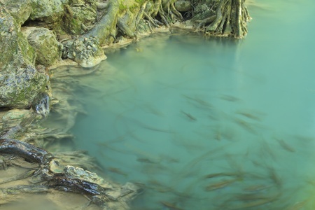 Scenic of Erawan Waterfall in Kanchanaburi province, Thailand の写真素材