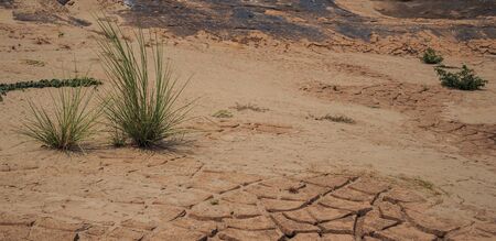 Arid Dry Desert Landscape