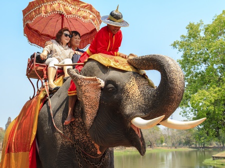 AYUTTHAYA, THAILAND - MARCH 7  Tourists on an elephant ride tour of the ancient city on March 7, 2013 in Ayutthaya  のeditorial素材