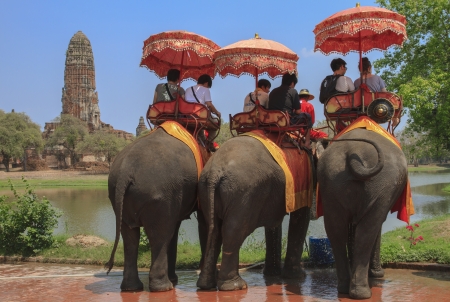 AYUTTHAYA, THAILAND - MARCH 7  Tourists on an elephant ride tour of the ancient city on March 7, 2013 in Ayutthaya のeditorial素材
