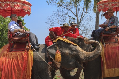 AYUTTHAYA, THAILAND - MARCH 7  Tourists on an elephant ride tour of the ancient city on March 7, 2013 in Ayutthaya のeditorial素材