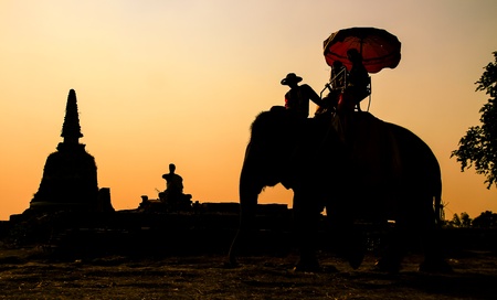 Silhouette of Local beauty and elephant in twilight time の写真素材