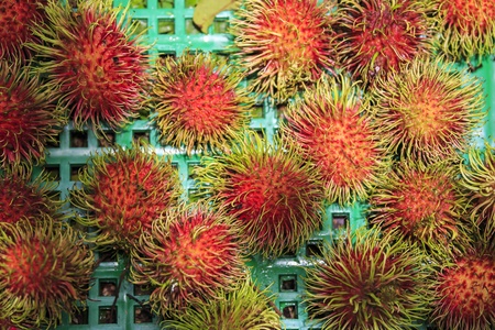 Tropical fruit,  Rambutan fruits の写真素材