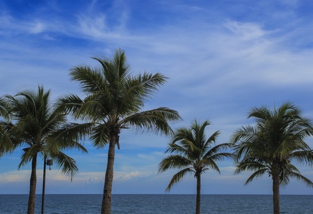 cloudy blue sky leaving for horizon above a blue surface of the sea の写真素材