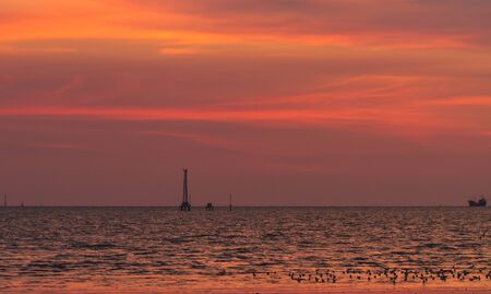 Seagulls flying against a sunset の写真素材