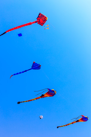kites flying in the blue skyの写真素材