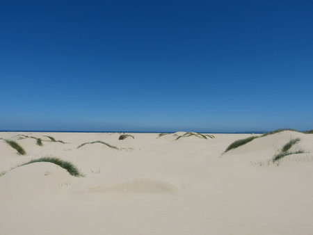 blue sky with sand dune at Shallow Inlet, Victoria.の写真素材