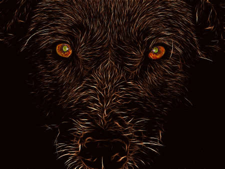 illustration profile dog on black aflameの写真素材