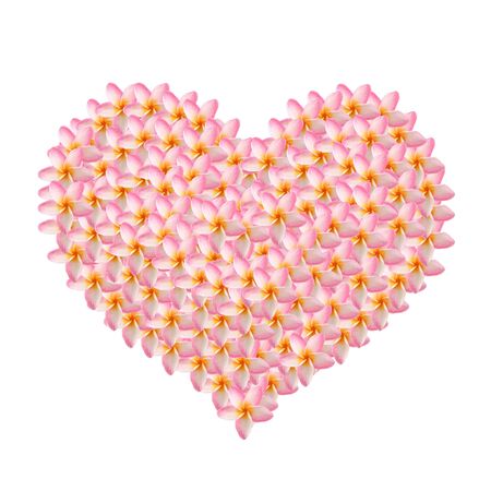 frangipani created in heart shape isolated on whiteの写真素材