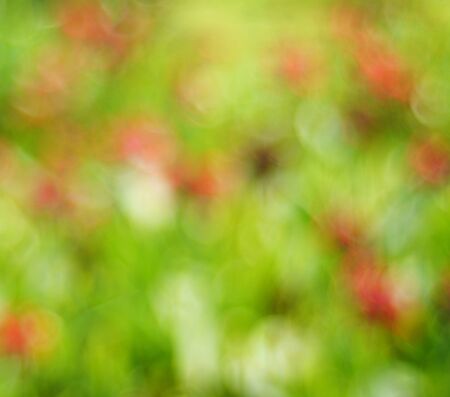abstract background bokeの写真素材