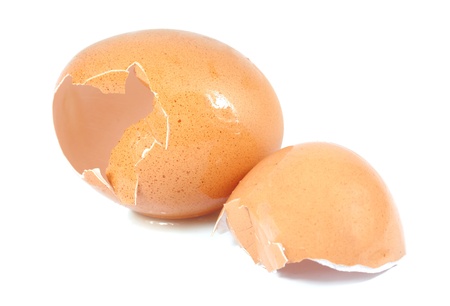 Eggshell