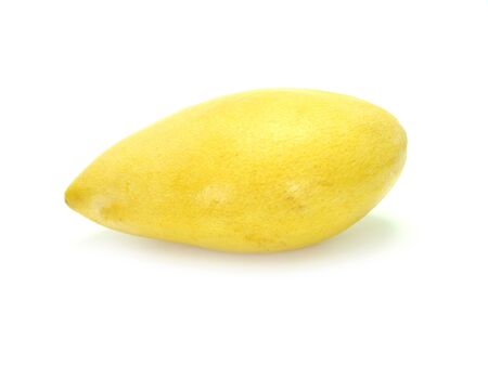 Mangoの写真素材