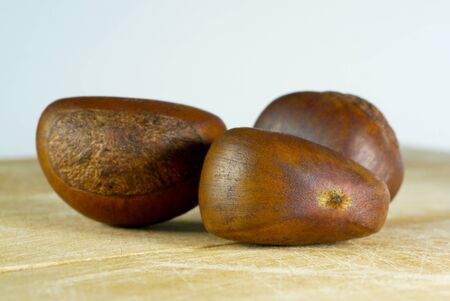 Chestnutの写真素材