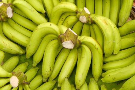 Rows of ripe yellow bananasの写真素材