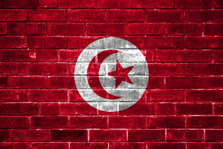 Tunisia flag painted on a brick wallの写真素材