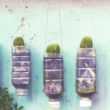 Plants on wall in old vintage retro styleの写真素材