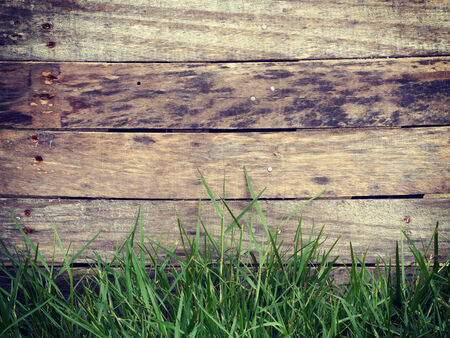Wood grass background old vintage retro style
の写真素材
