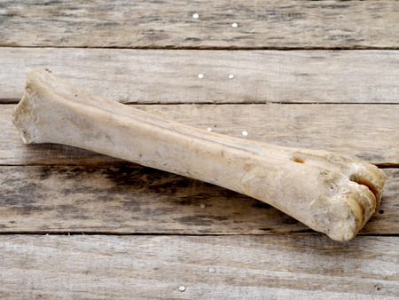 old bone 
