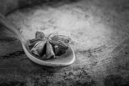 black and white star aniseの写真素材