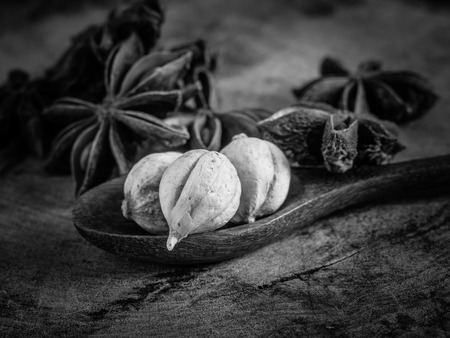 black and white cinnamon sticks and star aniseの写真素材