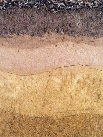 peat soil backgroundの写真素材