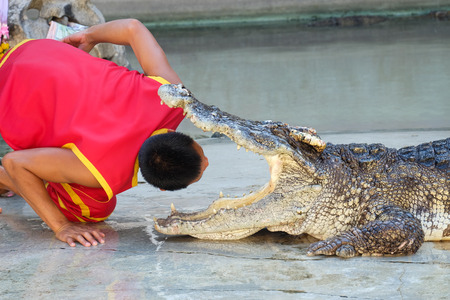 SAMUTPRAKARN,THAILAND - April 18: crocodile show at crocodile farm on April 18, 2015 in Samutprakarn,Thaila nd. This exciting show is very famous among among tourist and Thai peopleのeditorial素材