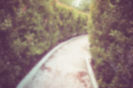 Blur Corridor Nature with filter effect retro vintage styleの写真素材