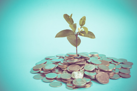 plant growing out of coins with filter effect retro vintage styleの写真素材