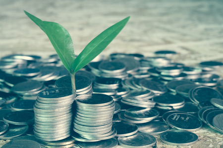 plant growing out of coins with filter effect retro vintage styleの写真素材