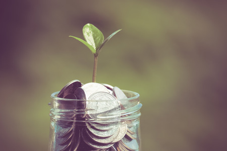 plant growing out of coins with filter effect retro vintage styleの写真素材