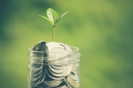 plant growing out of coins with filter effect retro vintage styleの写真素材