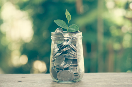 plant growing out of coins with filter effect retro vintage style plant growing out of coins with filter effect retro vintage style