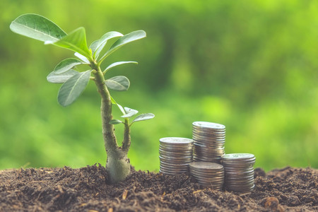 plant growing out of coins with filter effect retro vintage style