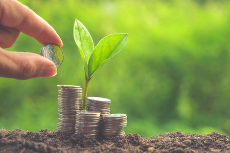 Money and plant with hand with filter effect retro vintage styleの写真素材