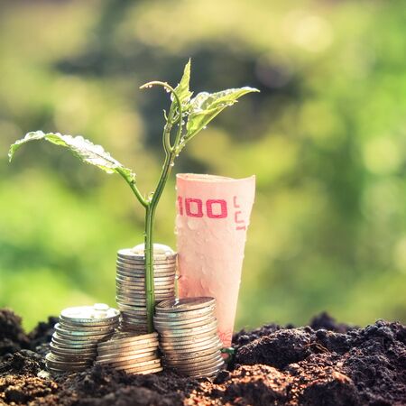 plant growing out of coins with filter effect retro vintage styleの写真素材
